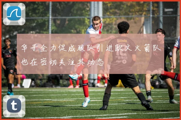华子全力促成狼队引进欧文火箭队也在密切关注其动态