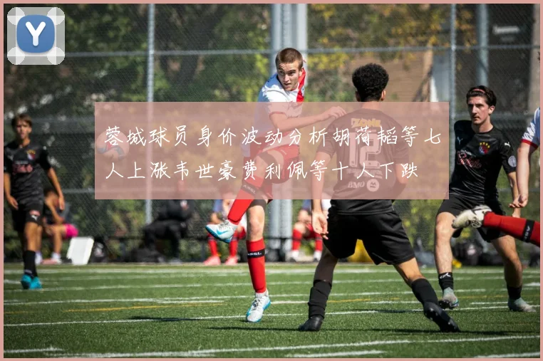 蓉城球员身价波动分析胡荷韬等七人上涨韦世豪费利佩等十人下跌
