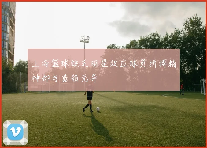 上海篮球缺乏明星效应球员拼搏精神却与蓝领无异