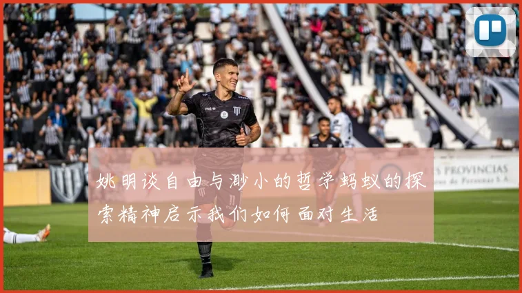 姚明谈自由与渺小的哲学蚂蚁的探索精神启示我们如何面对生活