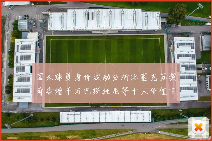 国米球员身价波动分析比塞克苏契奇各增千万巴斯托尼等十人价值下滑
