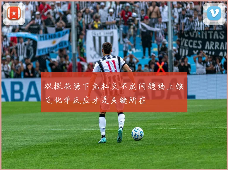 双探花场下无私交不成问题场上缺乏化学反应才是关键所在
